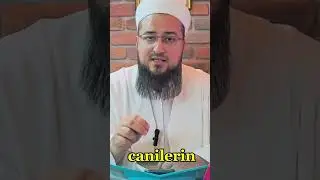 11 Eylül 2024