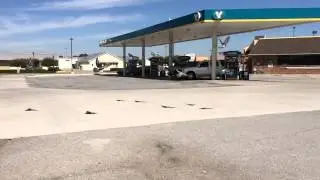 Slo-mo Birds