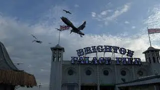 The Book Of Brighton Chapter 1 Video
