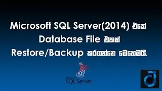 How to Backup and Restore a Database file in Microsoft SQL Server 2014