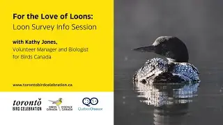 For the Love of Loons: Loon Survey Info Session with Q+A