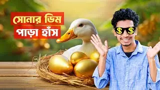 অবশেষে সোনার ডিম পাড়া হাঁস পেয়ে গেলেন Google AdSense Account with YouTube Monetization Approved