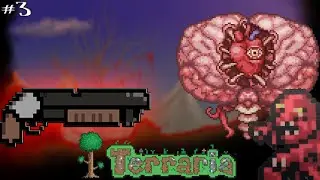 Тестим обрез в Терраррии. Terraria. №3