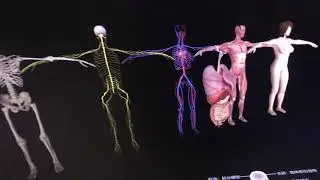 Nibiru Remote Rendering in AR Healthcare | Play PC Content in Your AR/VR Headsets