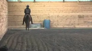 Stacey I-did-fall