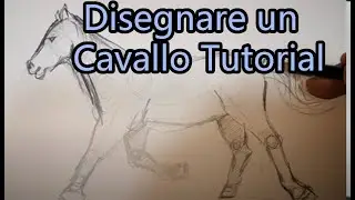 How to Draw a Horse Tutorial