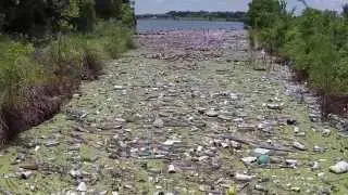 Trash in Lake Ray Hubbard
