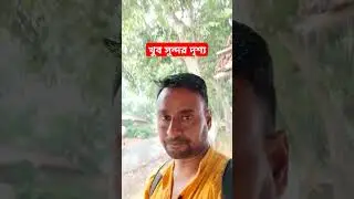 খুব সুন্দর দৃশ্য | Vlog video | Daily vlog | #shorts #youtube #dailyvlog #vlog