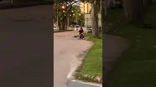 Laki Merajuk