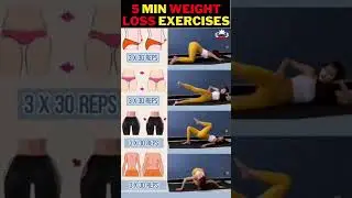 5 Min Weight Loss Exercises #weightloss #shorts