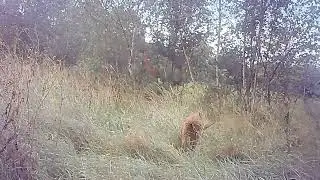 Rondom de Heimolen vlog 10