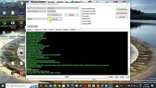 A667L / A50 PIN & FRP remove BY DANYSONIC CM2