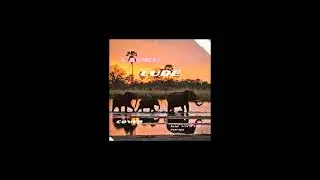 Mlindo The  Vocalist - Usuku Lude  Cover by Vinnie King  zw
