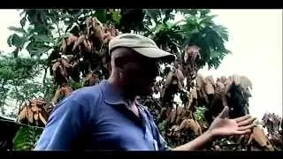 El Llanto Negro de la Selva / Historia de Chevron / Texaco en Ecuador