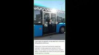 Что с костями делает сорока вне клетки спасённая от хищников ещё как слёток. Клетка для Карла дом-2