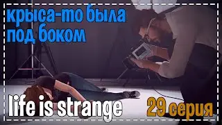Life Is Strange # Крыса-то была под боком # 29 серия