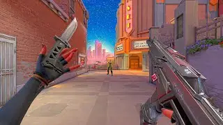 365 Days of Satisfying Aim..