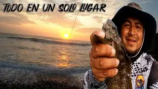 CONOCE LA PLAYA LOS CANGREJOS | PESCA, TURISMO en un solo lugar | Tablita Fishing
