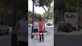 Honesty Experiment! WWYD? 