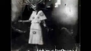 Heaven shall Burn - Voice of the Voiceless