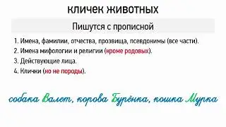 Правописание собственных имён, лиц, кличек животных (6 класс, видеоурок-презентация)