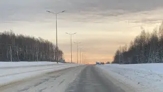 Дорога в Березники