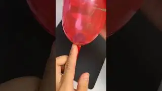 WHAT IF YOU PUT A BALL Bouncer 
