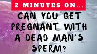 Can You Get Pregnant From a Dead Man's Sperm? - Just Give Me 2 Minutes