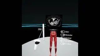 Anatomy VR for UiTM Skills Lab