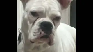 OtotheBCD (caseoh diss)