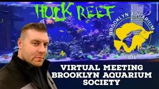 Hulk Reef 600 Gallon Virtual Meeting with The Brooklyn Aquarium Society