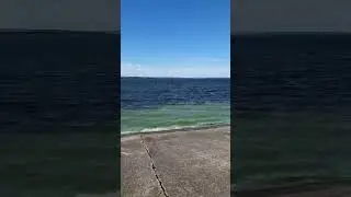 Река Днепр сине—зеленого цвета. 