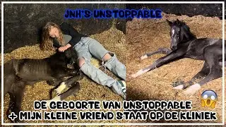 DE GEBOORTE VAN UNSTOPPABLE! #joanneneidhoferhorses #vlog370