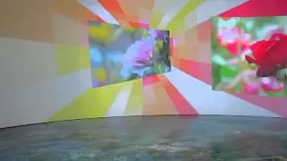MVI_3231.MOV