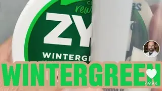 What's in the wintergreen Zyn Pouch?!? by Mass Spec Everything