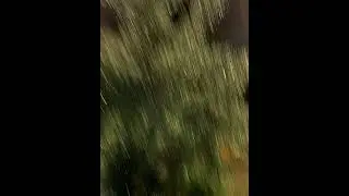 grimes - genesis (slowed)