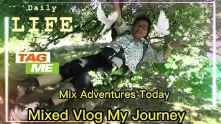 My Adventures Today in the Forest