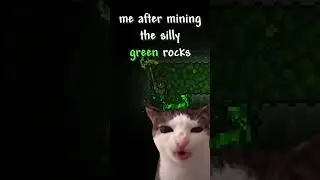 Mining the silly green rocks #terraria  #terrariagameplay #terrariamemes #gaming