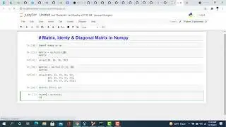Matrix, Identy Matrix, Diagonal Matrix in Numpy | Numpy Tutorial - 6 | Bangla