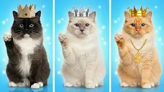 BUILT A SECRET ROOM FOR PETS! 🐶😺 Poor vs Rich vs Giga Rich Secret Room!