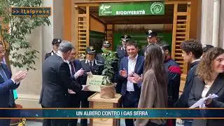 Transizione, ecosistema urbano, alberi, scuole - Tg Ambiente