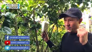 Мох бу нима??  Баҳромжон Абдухолиқовдан ажойиб маҳорат дарси👍👍