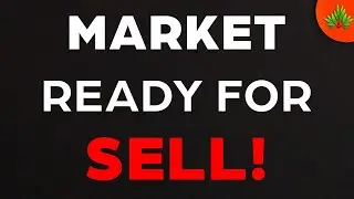 Market Ready for Sell