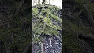 Красота природы в Норвегии завораживает