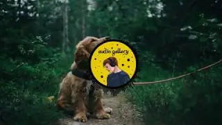Erik Lund - Tokyo Sunset (No Copyright Music)