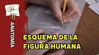 Esquema de la figura humana en el Comic