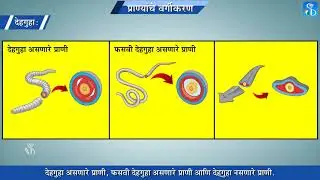 10th Science 2 | Chapter#06 | Topic#04 | शारीरिक सममिती | Marathi Medium
