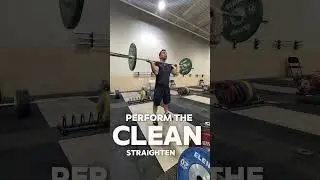 Clean Muscle