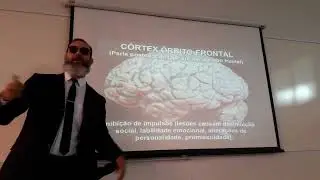 Relação entre o Córtex Orbitofrontal e a Personalidade
