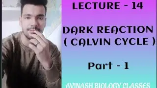 CALVIN CYCLE ( Part - 1 )